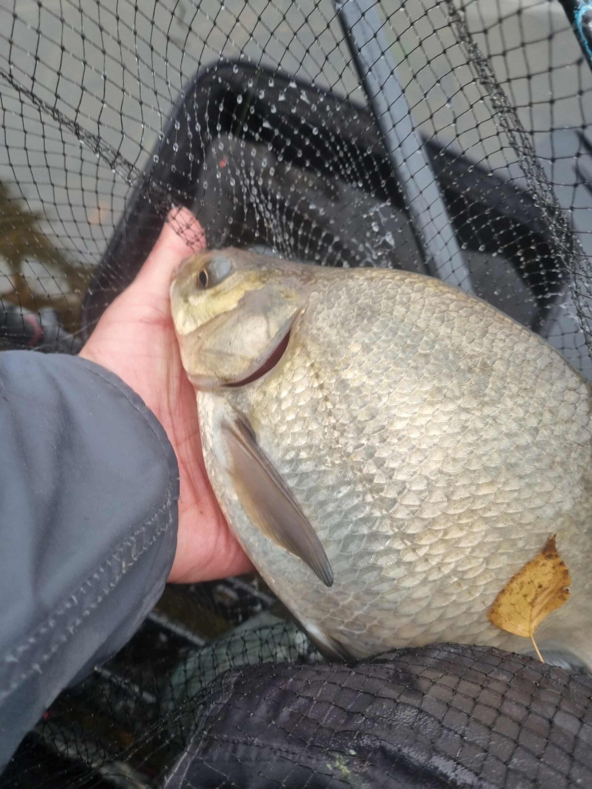 Šlapias ir vėjuotas Darsūniškis