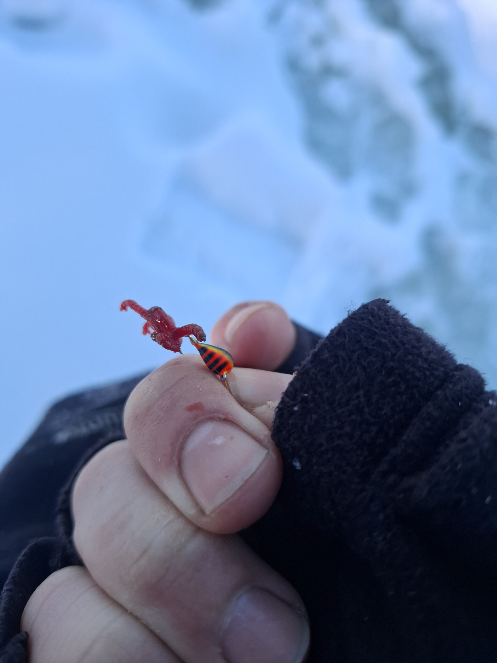 Poledinė žvejyba užtvankoje – Lietuvos valstybės atkūrimo dieną