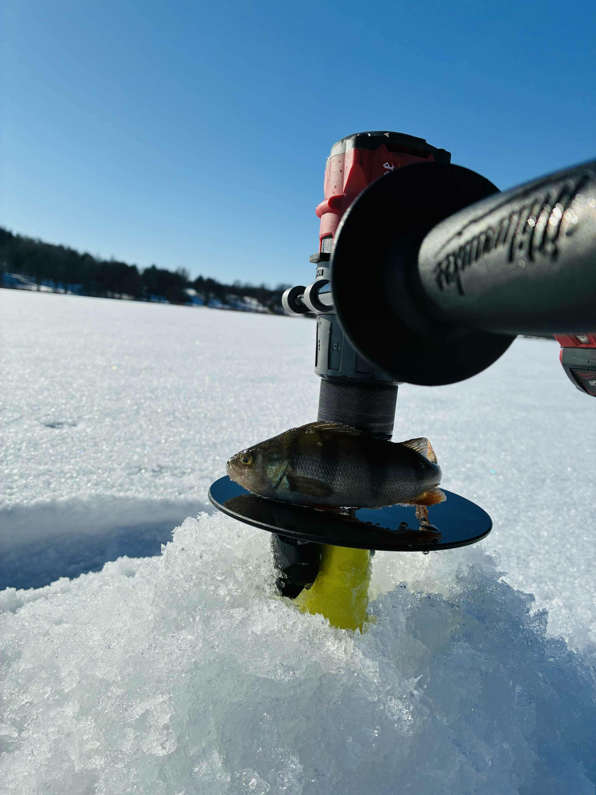 Kaip lydekos ešerių žūklę sugadino
