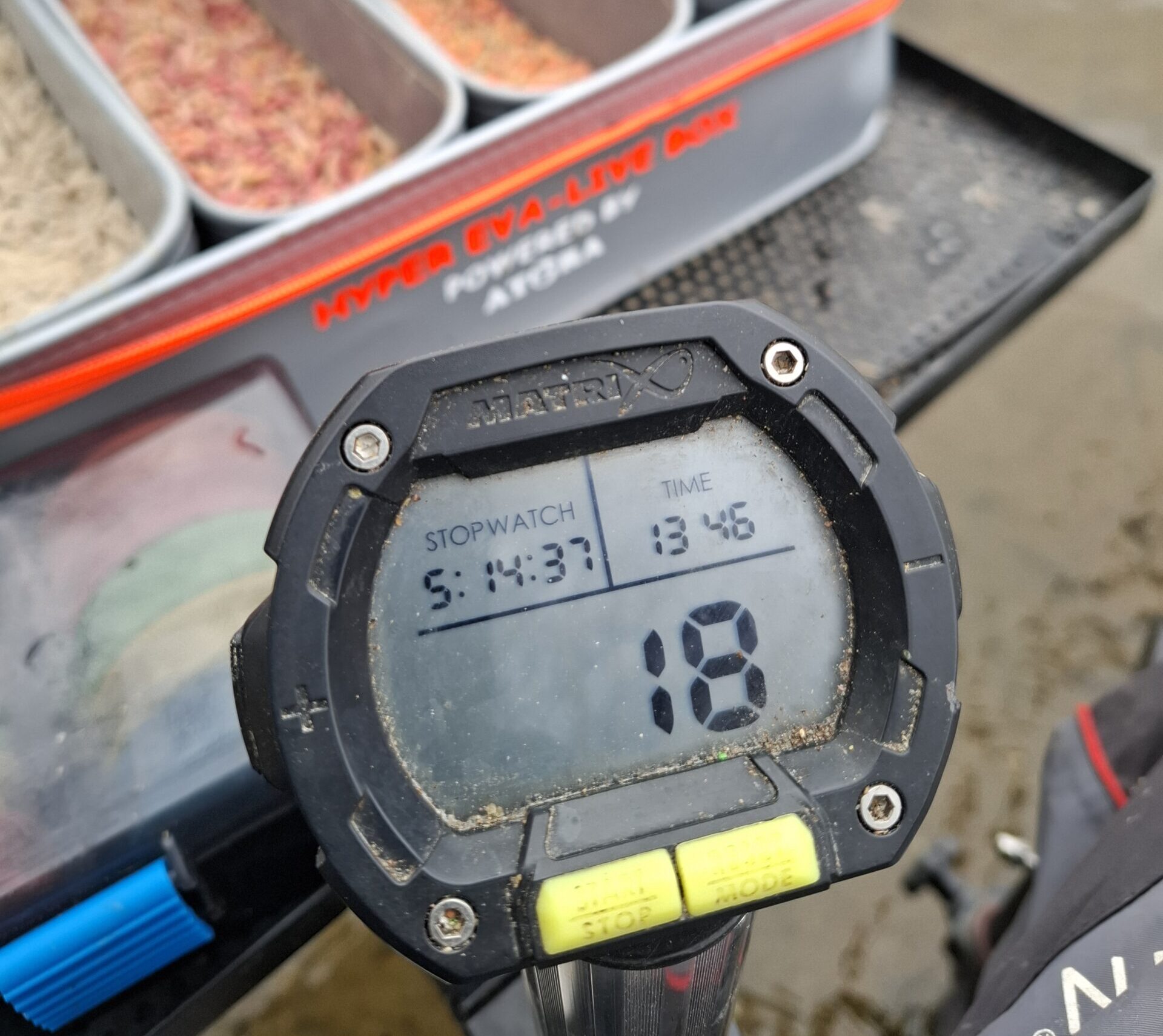 Į žūklę be meškerių… Beveik… Manoji sezono pradžia