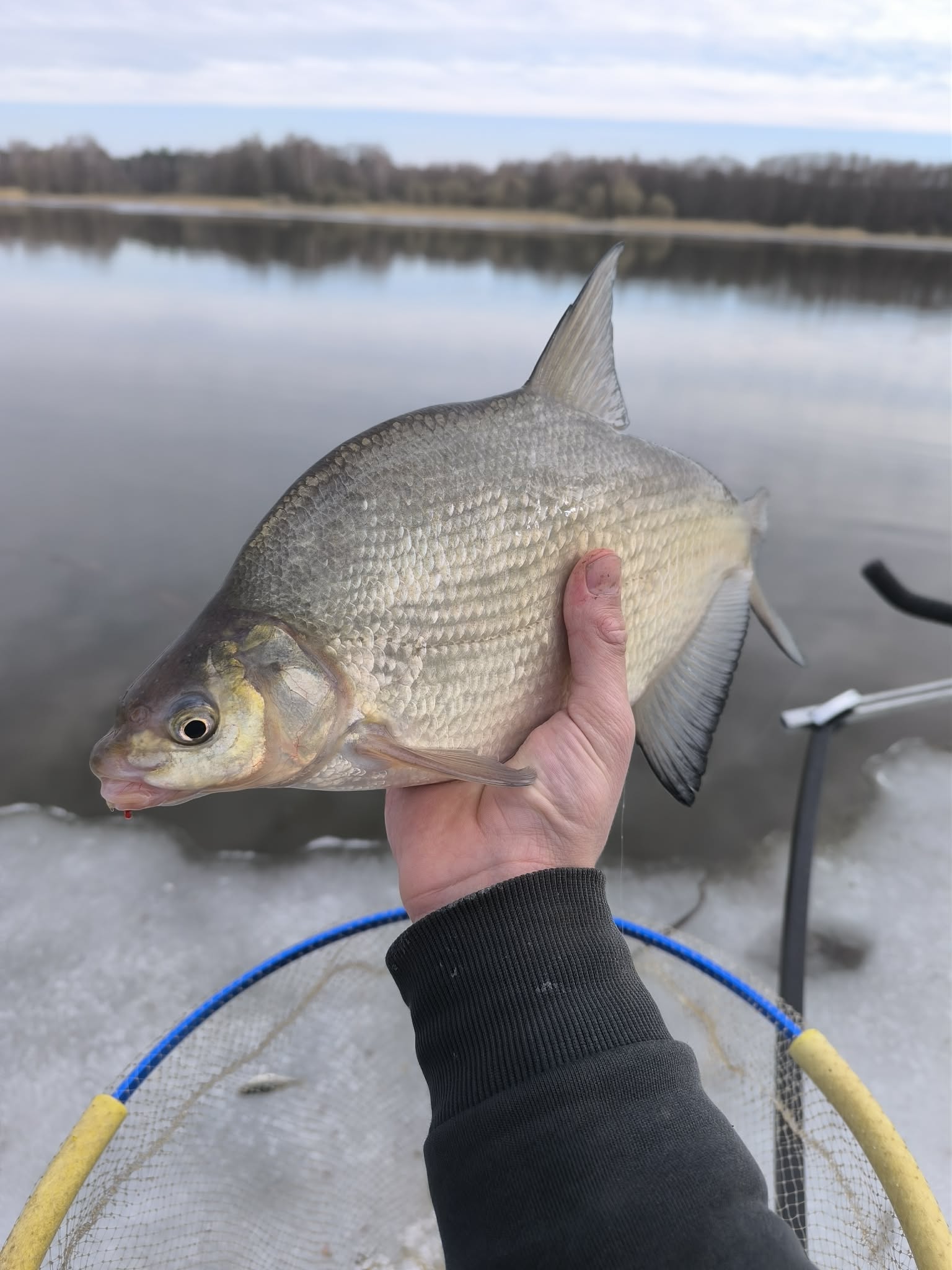Ar tai žvejyba nuo ledo, ar jau atviro vandens sezonas?