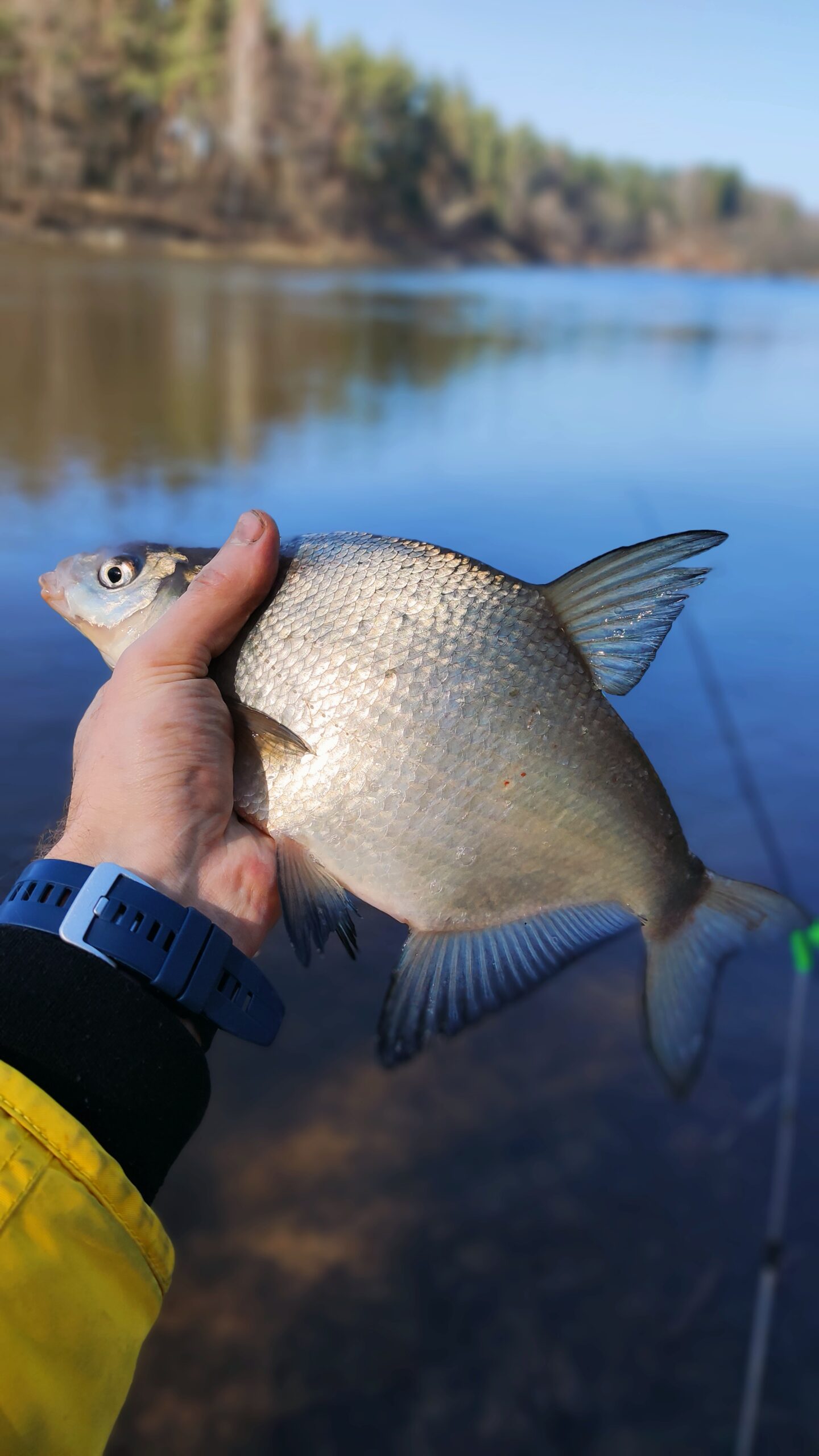 Pavasarinė Neris – pradedame 2026-ųjų dugninės žūklės sezoną