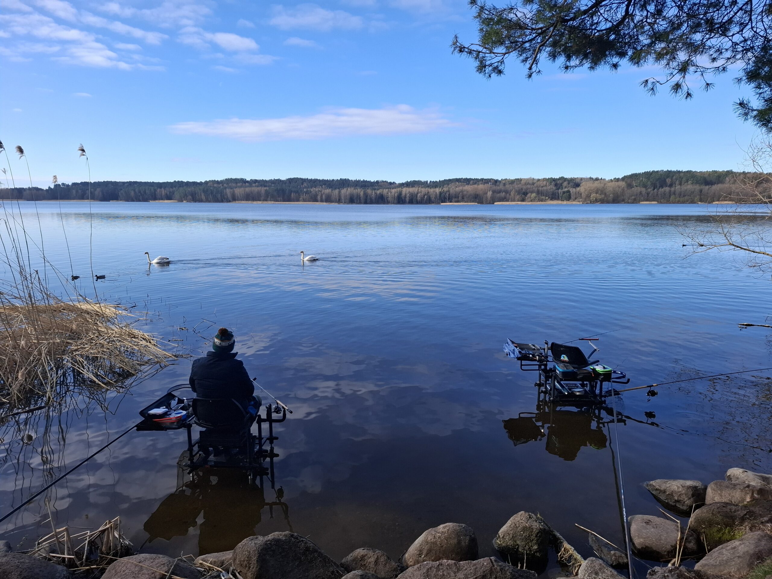 Rezultatyvi žūklė Kauno mariose