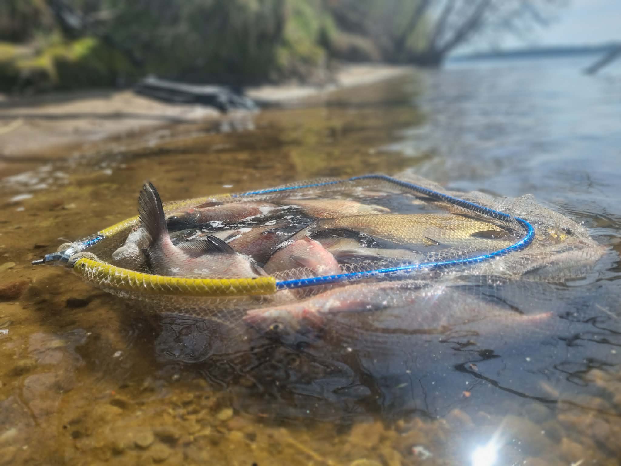 Žūklė be laikrodžio
