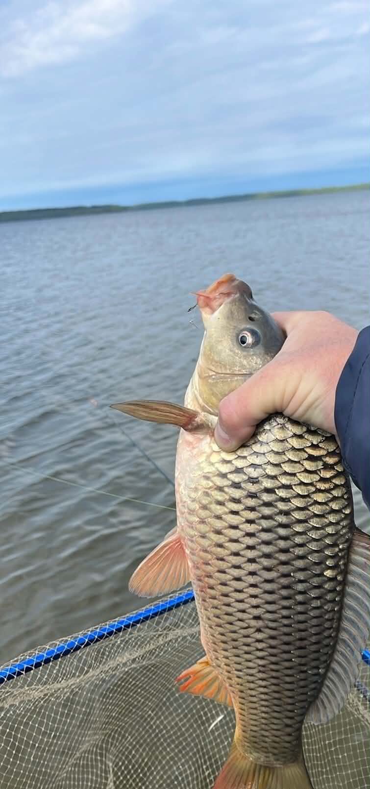Pirmieji šių metų karosai
