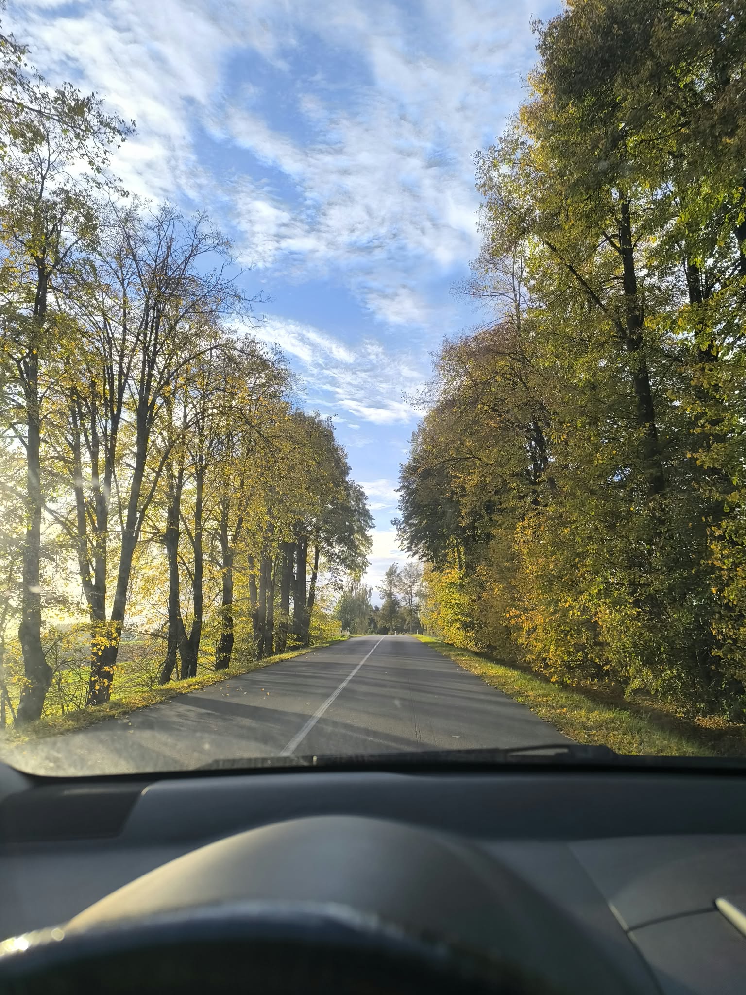 Ar jau laikas į Vangus?